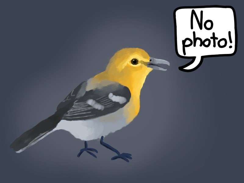 No image!