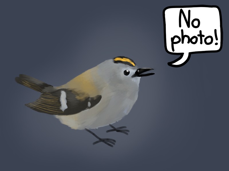 No image!