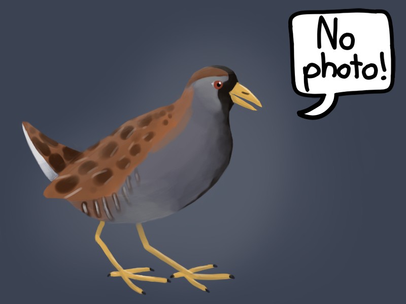No image!